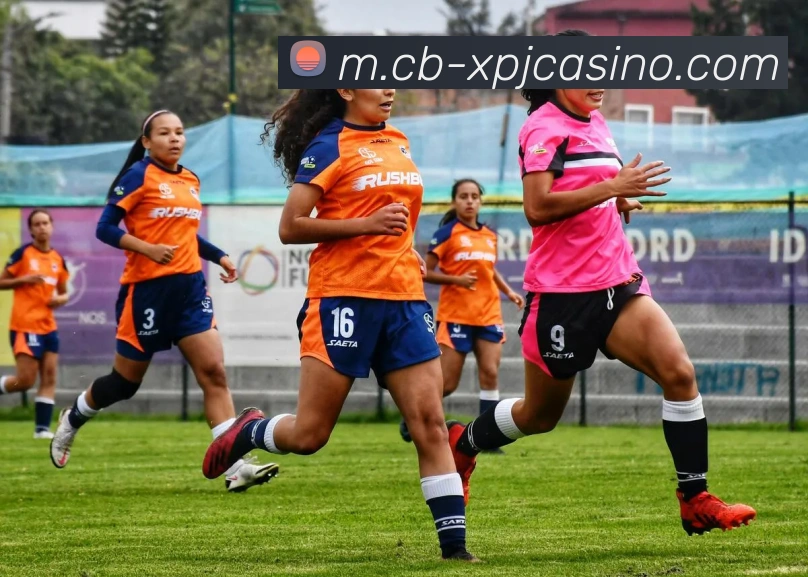 澳门新葡京娱乐APP 高清赛事图